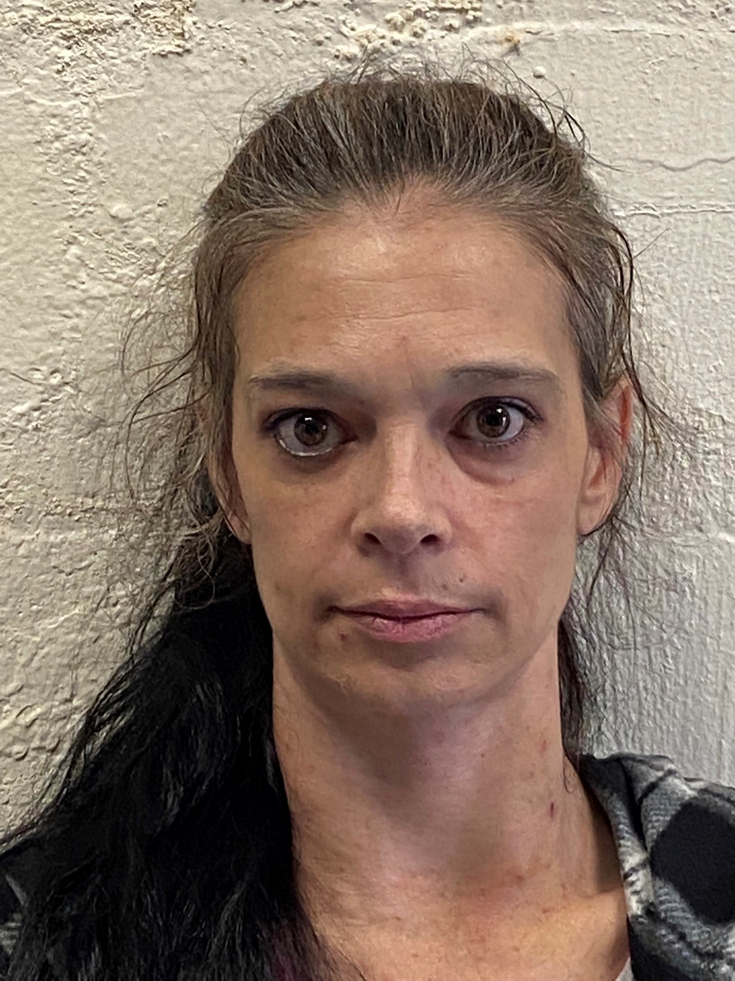 Ncdps Inmate Lookup - jng626e